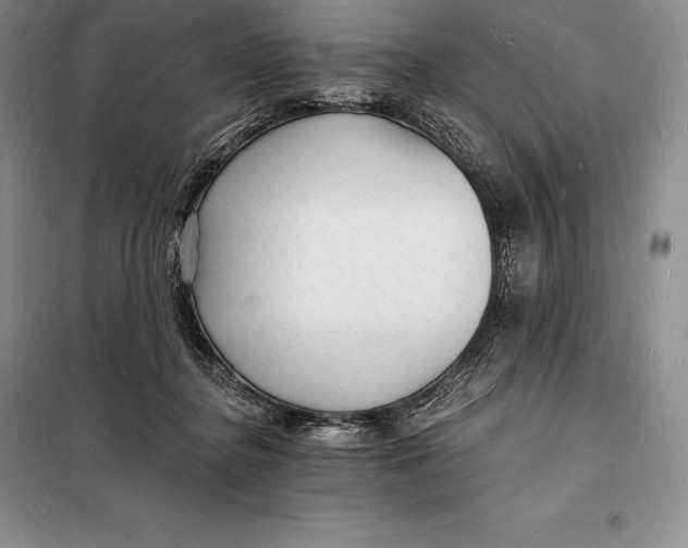 X0000098230364200805151347