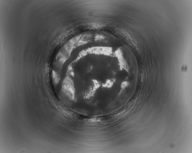 X0000098230366200805151347