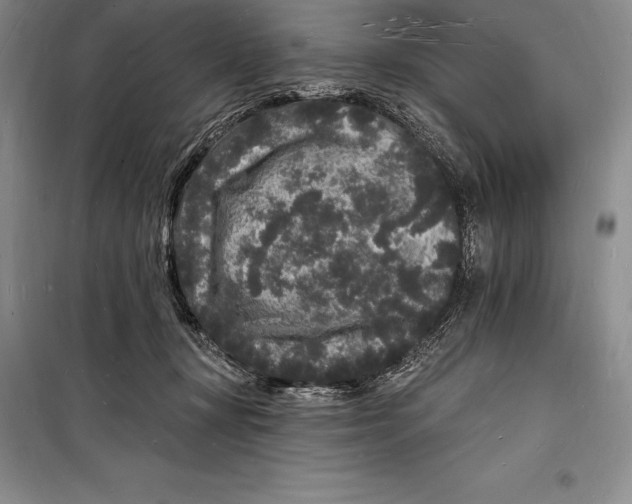 X0000098230367200805151347