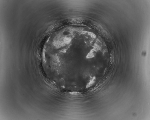 X0000098230371200805151347