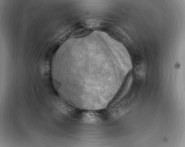 X0000098230372200805151347