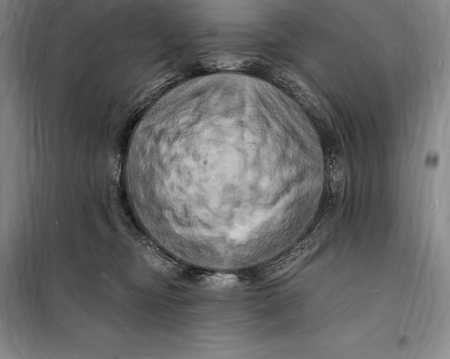 X0000098230374200805151347