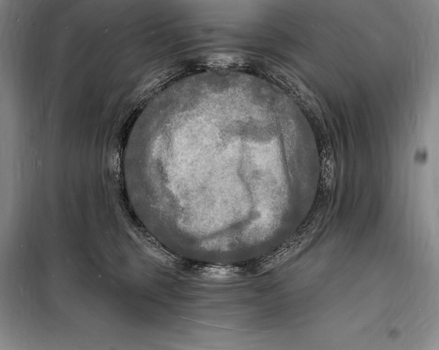 X0000098230375200805151347