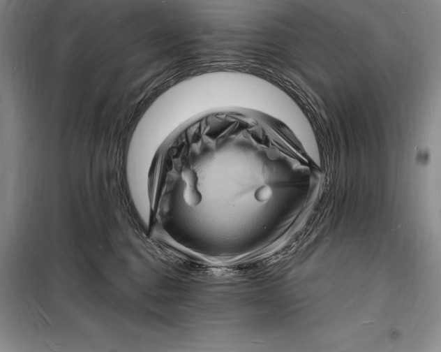 X0000098230376200805151347