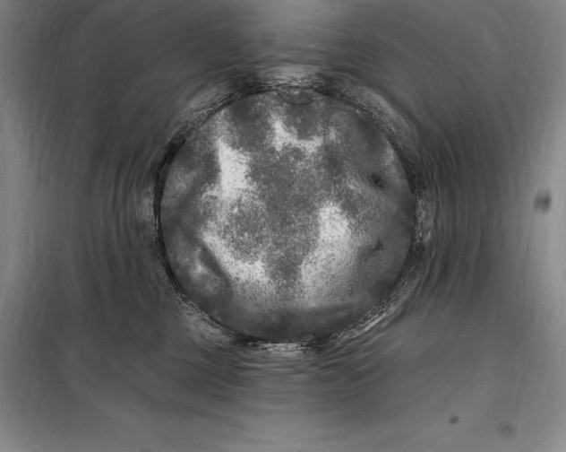 X0000098230377200805151347