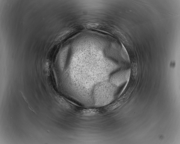 X0000098230378200805151347