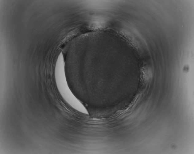 X0000098230380200805151347