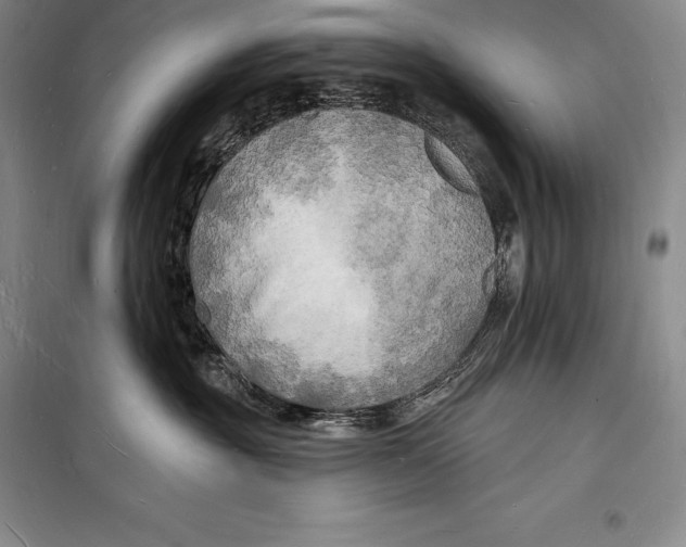 X0000098230381200805151347