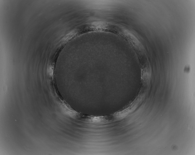 X0000098230382200805151347