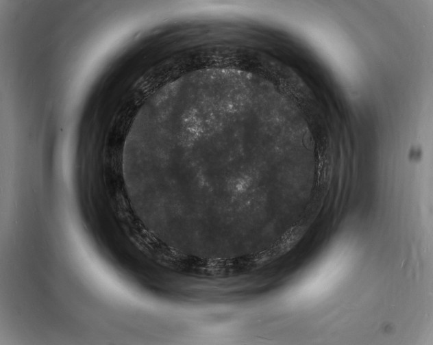 X0000098230383200805151347