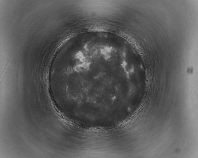 X0000098230386200805151346