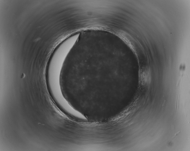 X0000098230389200805151346