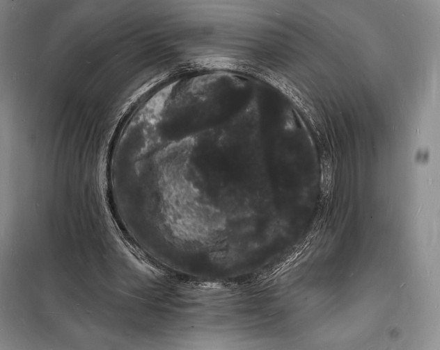 X0000098230390200805151346