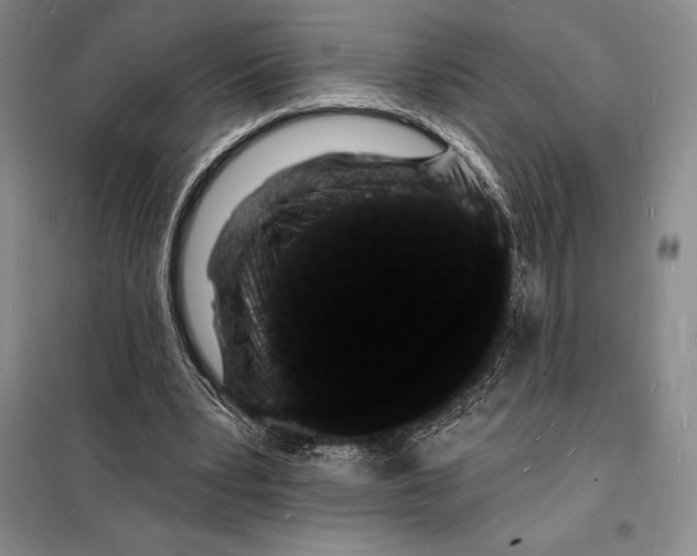 X0000098230391200805151346