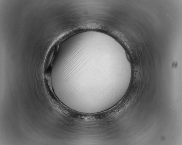 X0000098230395200805151346