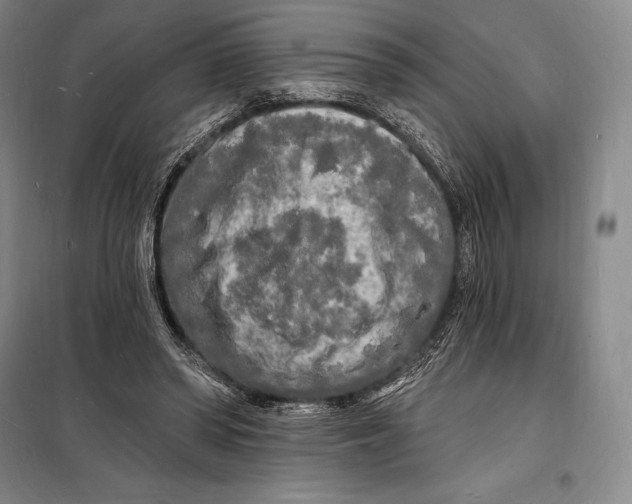 X0000098230398200805151346