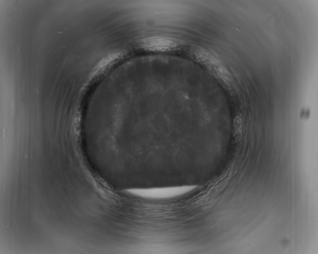 X0000098230400200805151346