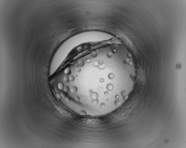 X0000098230401200805151346