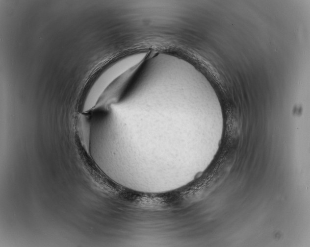 X0000098230403200805151346