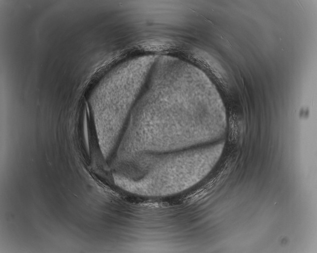 X0000098230404200805151346