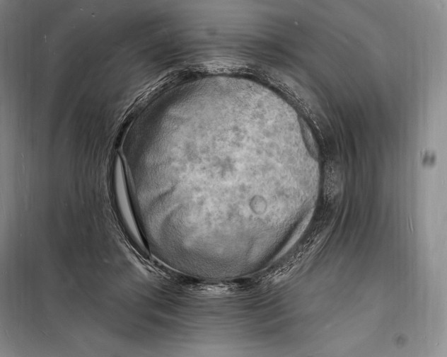 X0000098230405200805151346