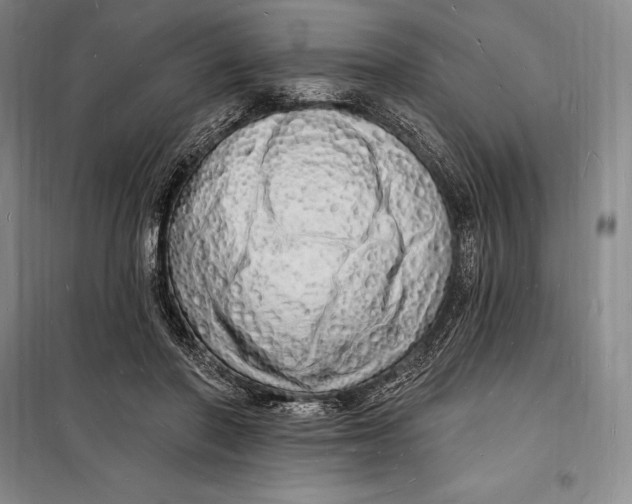 X0000098230406200805151346