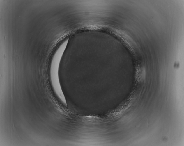 X0000098230407200805151346