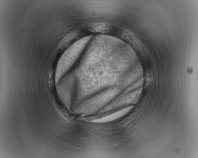 X0000098230408200805151346