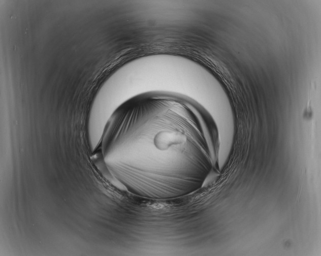 X0000098230409200805151346