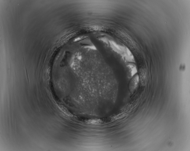 X0000098230410200805151346