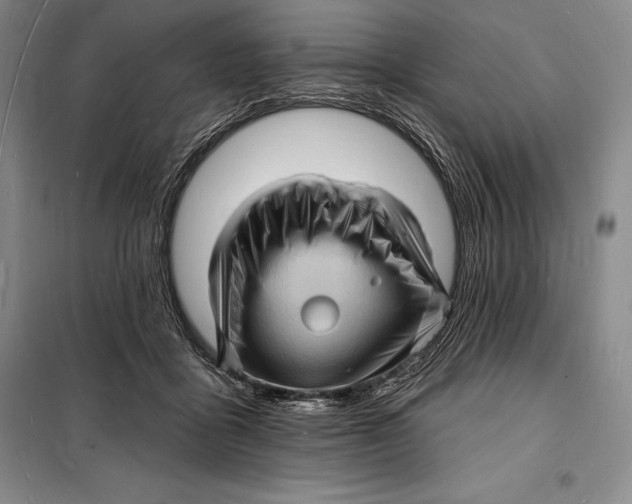 X0000098230411200805151346