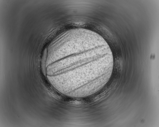 X0000098230412200805151346