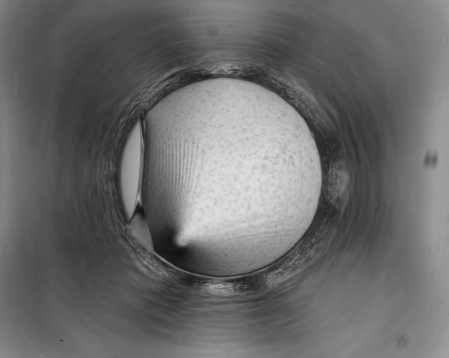 X0000098230413200805151346