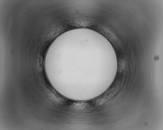 X0000098230414200805151346