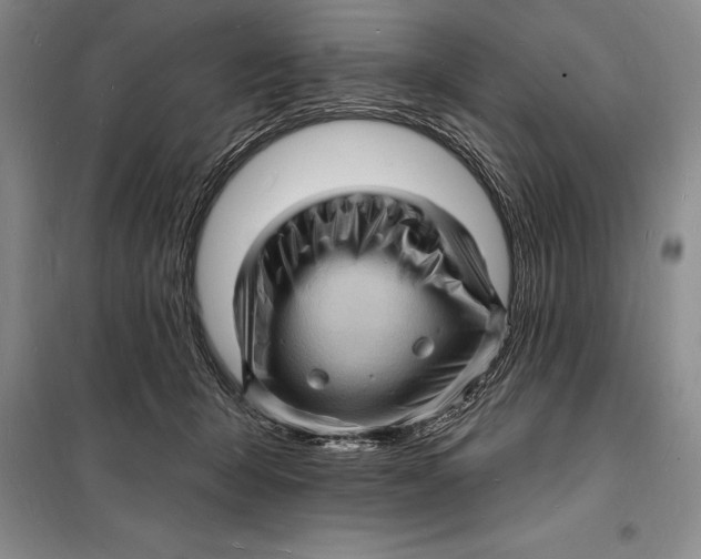 X0000098230415200805151346