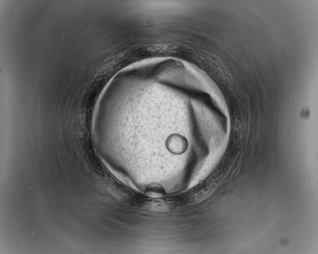 X0000098230416200805151346