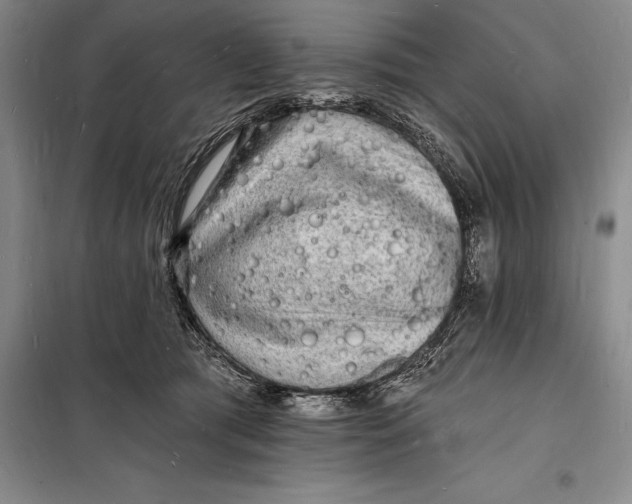 X0000098230417200805151346