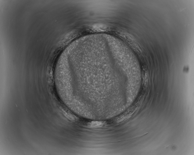 X0000098230418200805151346