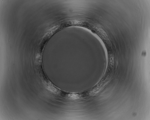 X0000098230419200805151346