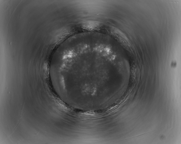 X0000098230420200805151346