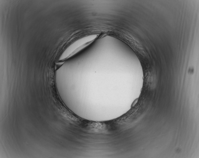 X0000098230421200805151346