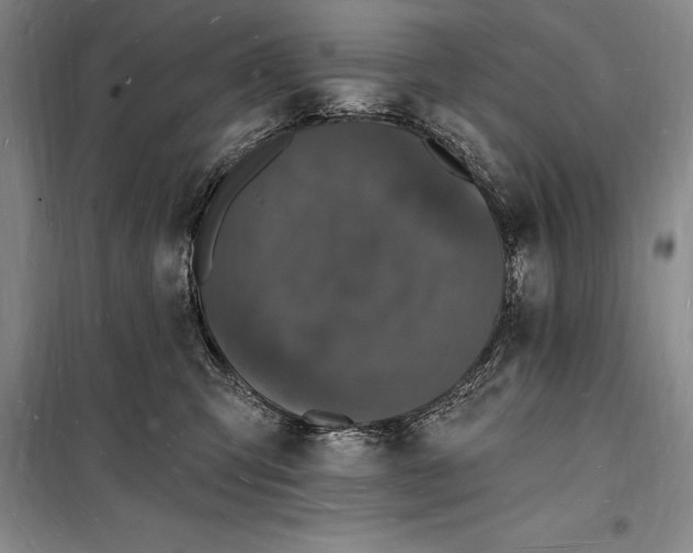 X0000098230423200805151346