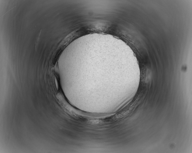 X0000098230425200805151346