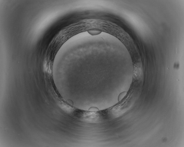 X0000098230431200805151346