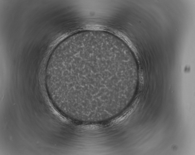 X0000098230433200805151345