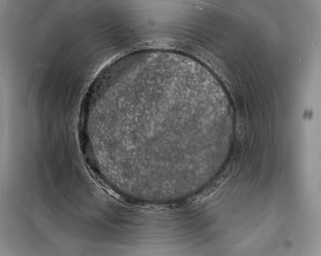 X0000098230434200805151345