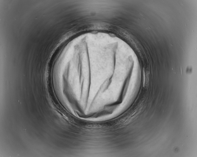 X0000098230435200805151345