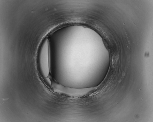 X0000098230436200805151345