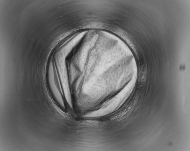 X0000098230437200805151345