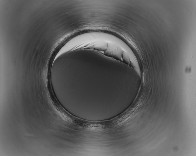 X0000098230438200805151345